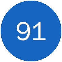 91
